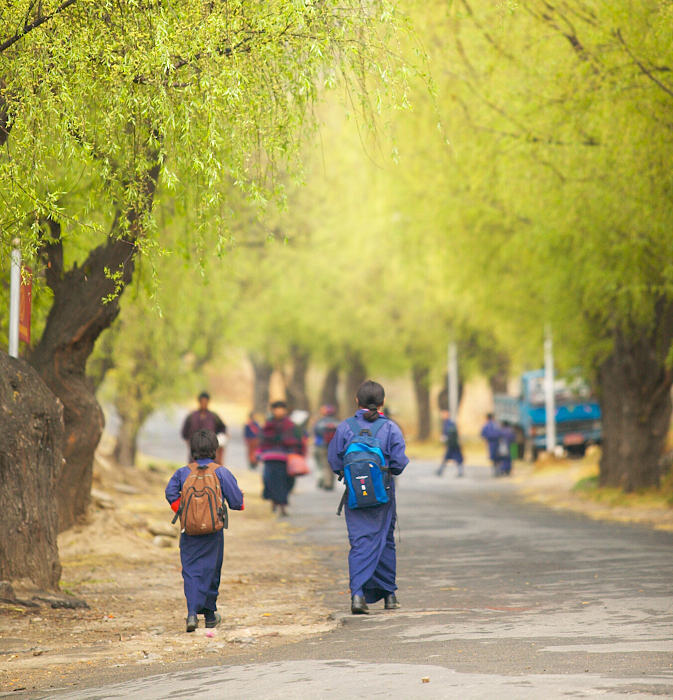 Autumn in Bhutan